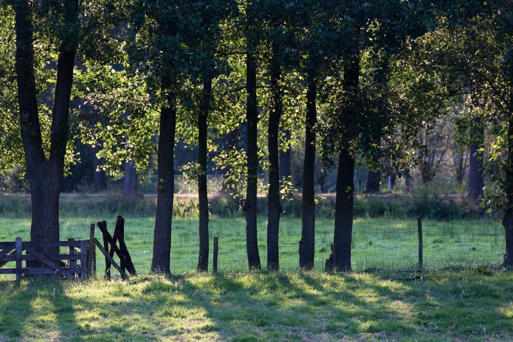 Blier Herne Gorredijk Esterno foto